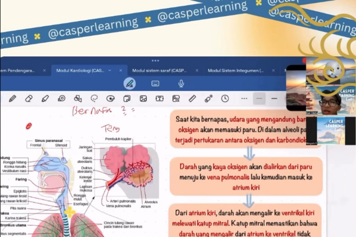 KELAS ONLINE PERSIAPAN KEDOKTERAN (Pra Preklinik)