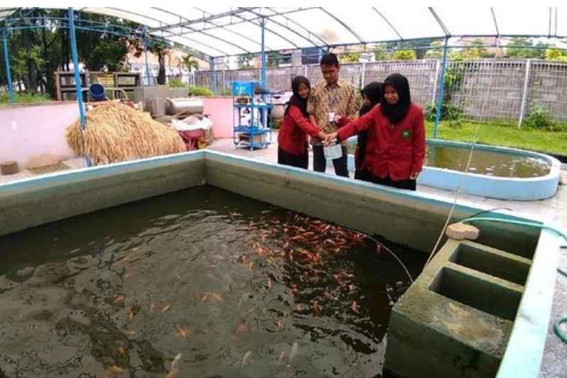 Mini Agrowisata 4