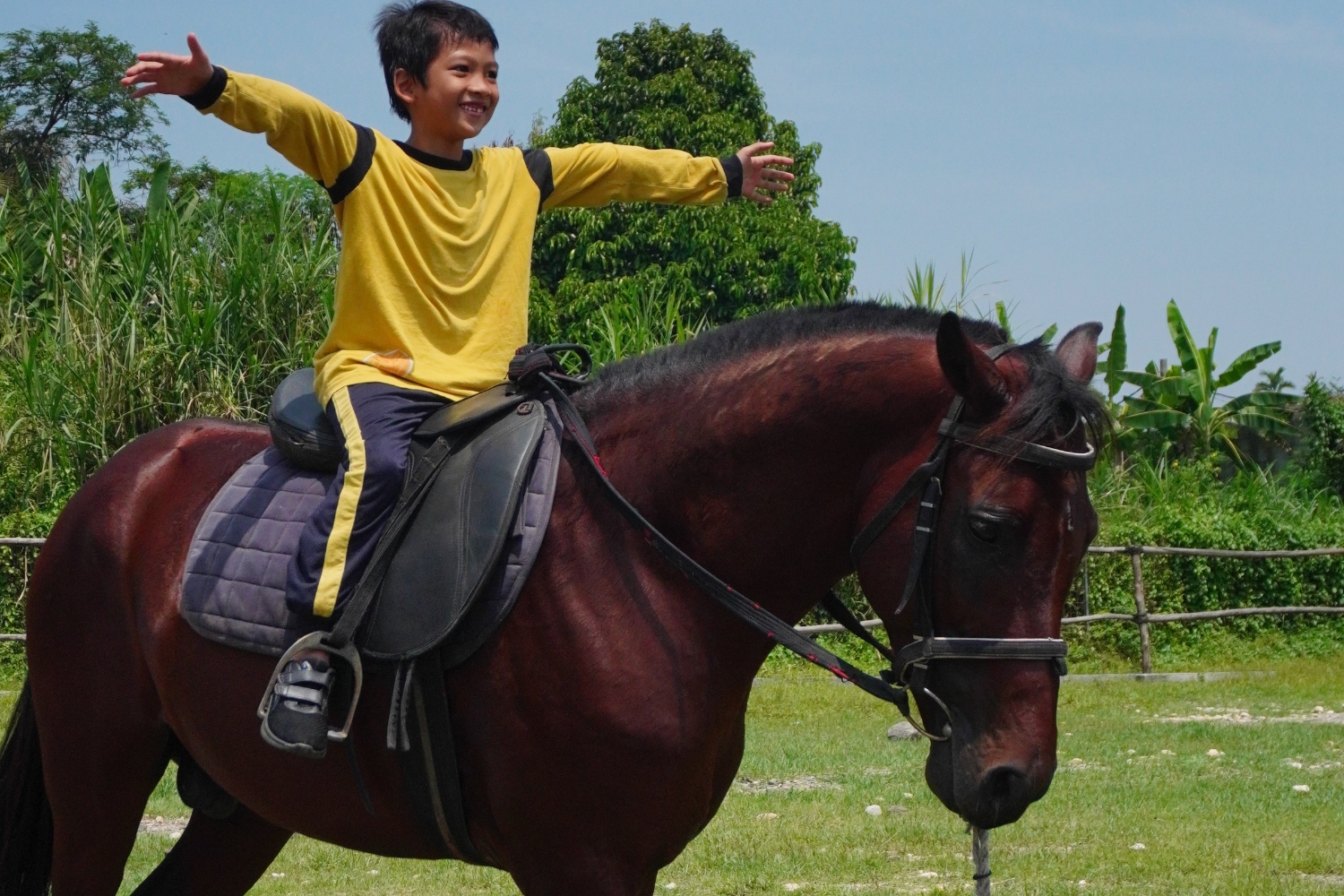 Fun Ride & Foto berkuda