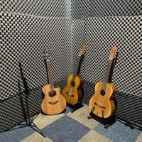 Offline Gitar Class 2