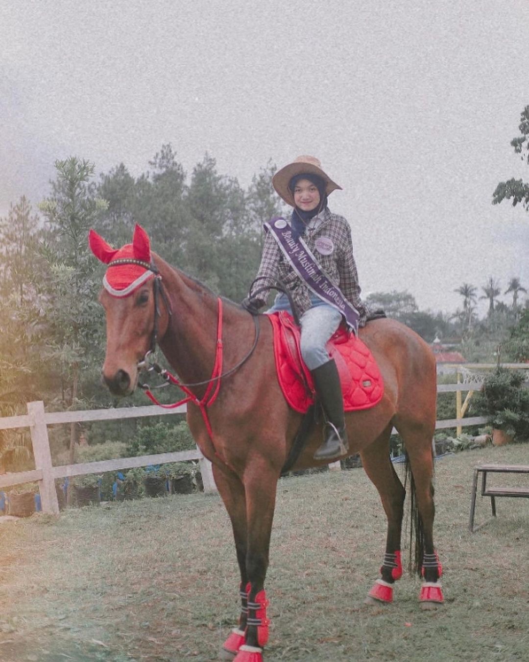 Horse Riding 2
