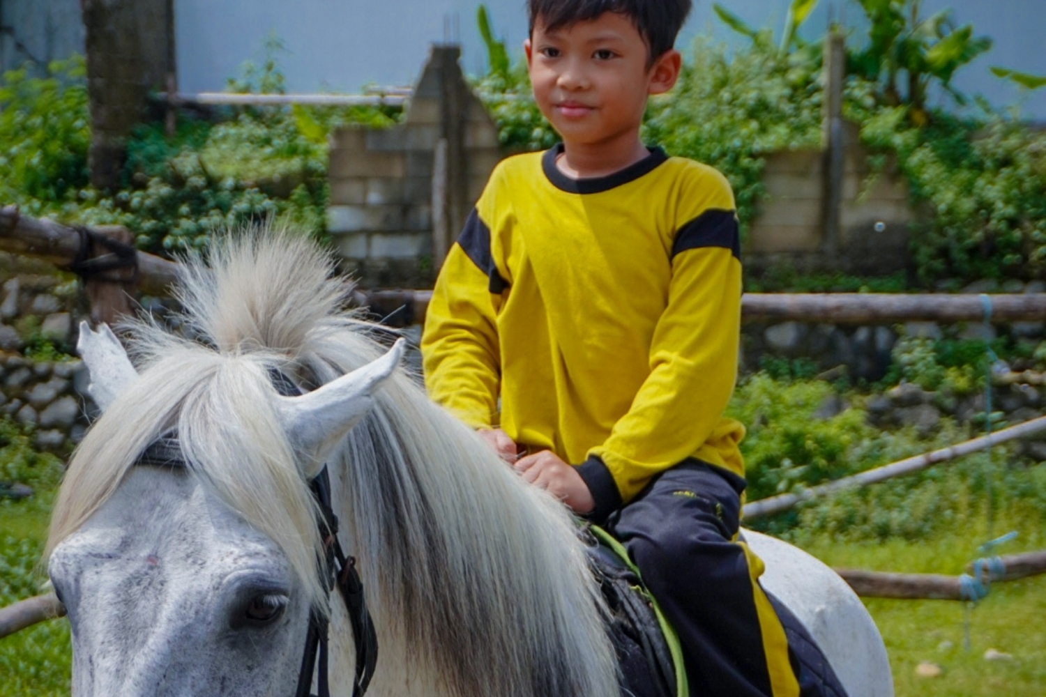 Fun Ride & Foto berkuda 2