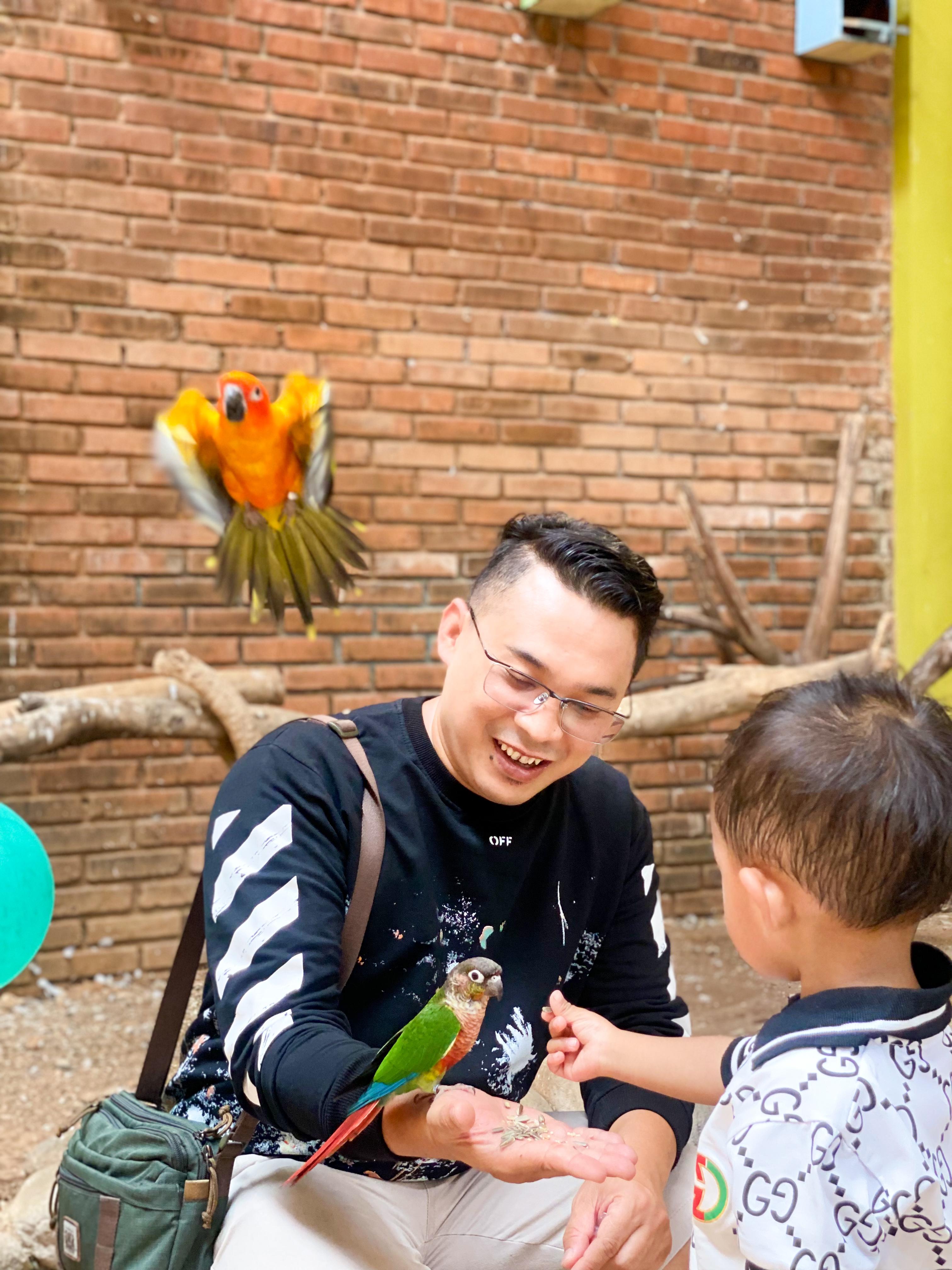 Mini Zoo Tour 2