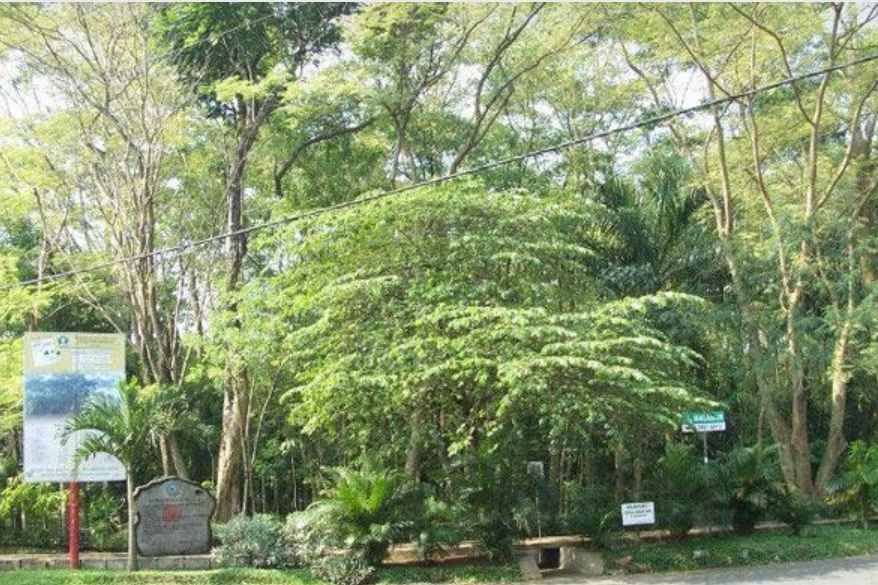 Hutan Kota Malabar