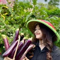 Harvest Veggie 2