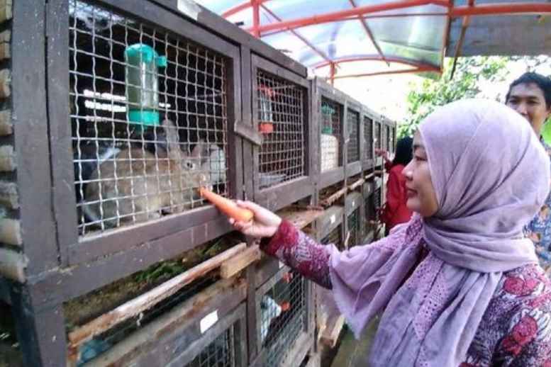 Mini Agrowisata 3