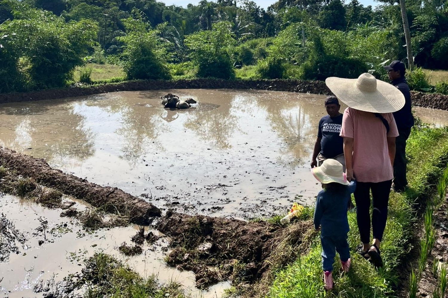 Tani Explorer