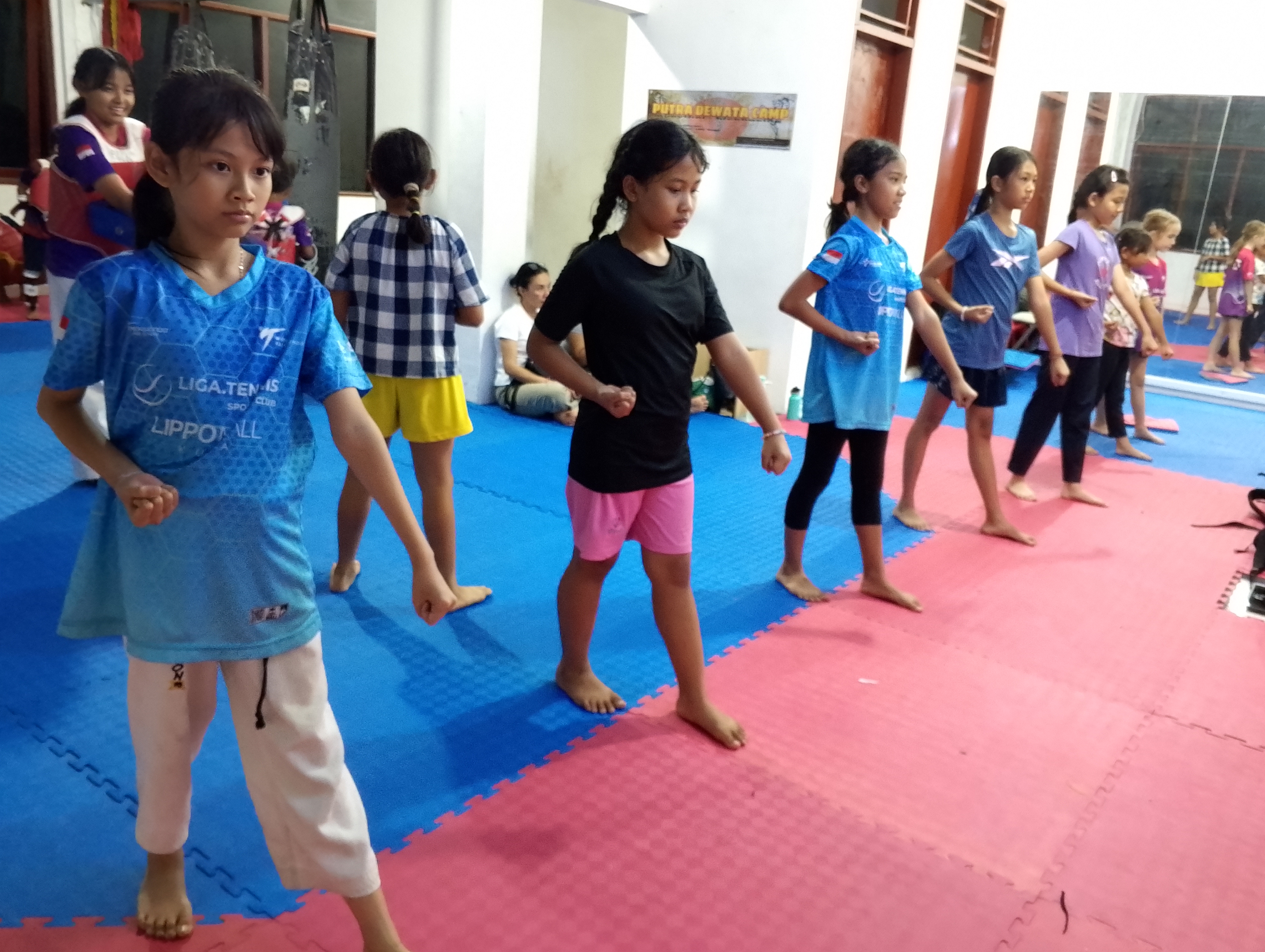 Olahraga beladiri Taekwondo