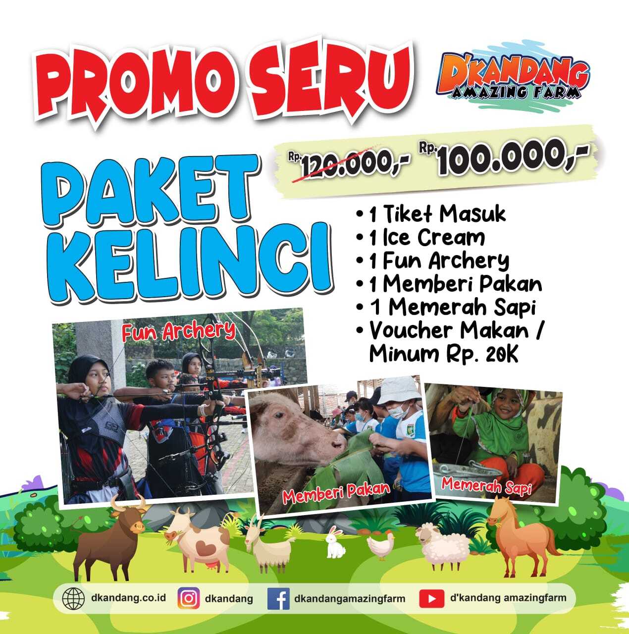 Paket Kelinci