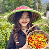 Harvest Veggie