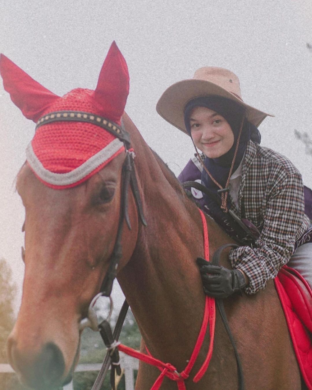 Horse Riding