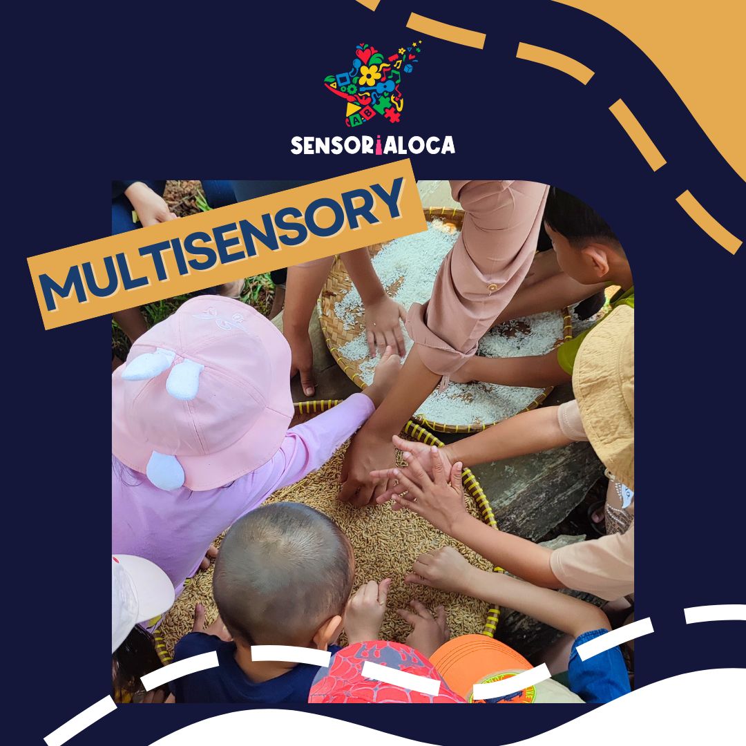 Montessori Play Club 2