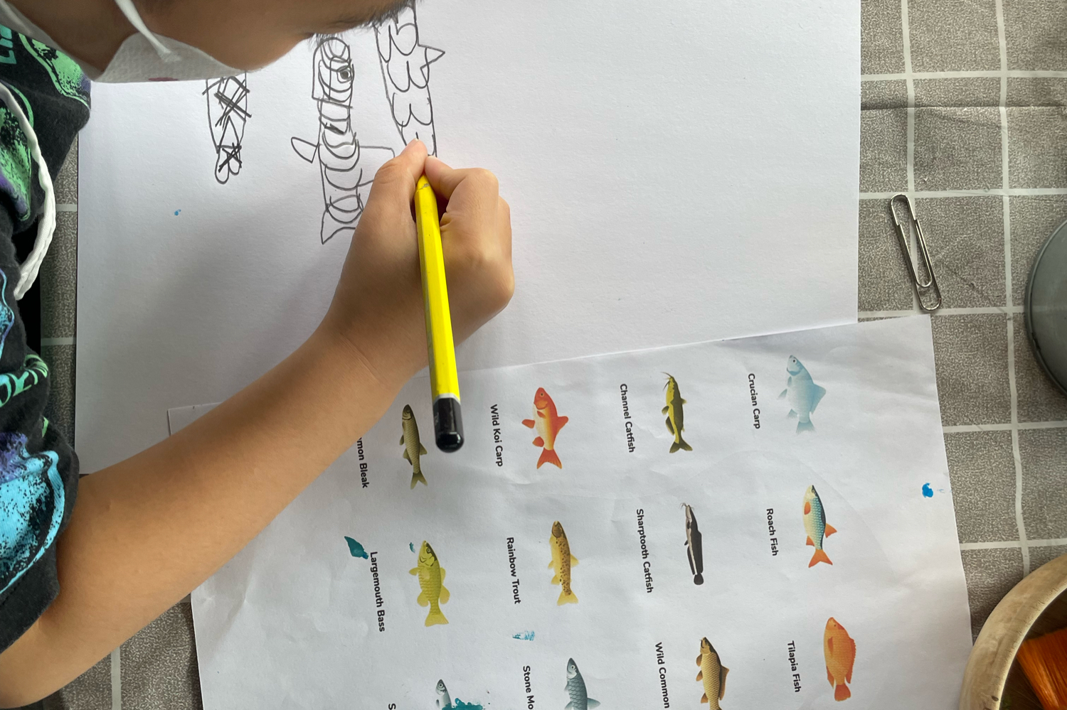LITTLE CREATOR 4