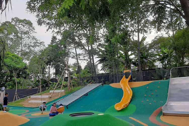 Play Club by Buumi Urban Forest 2