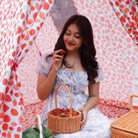Piknik 2