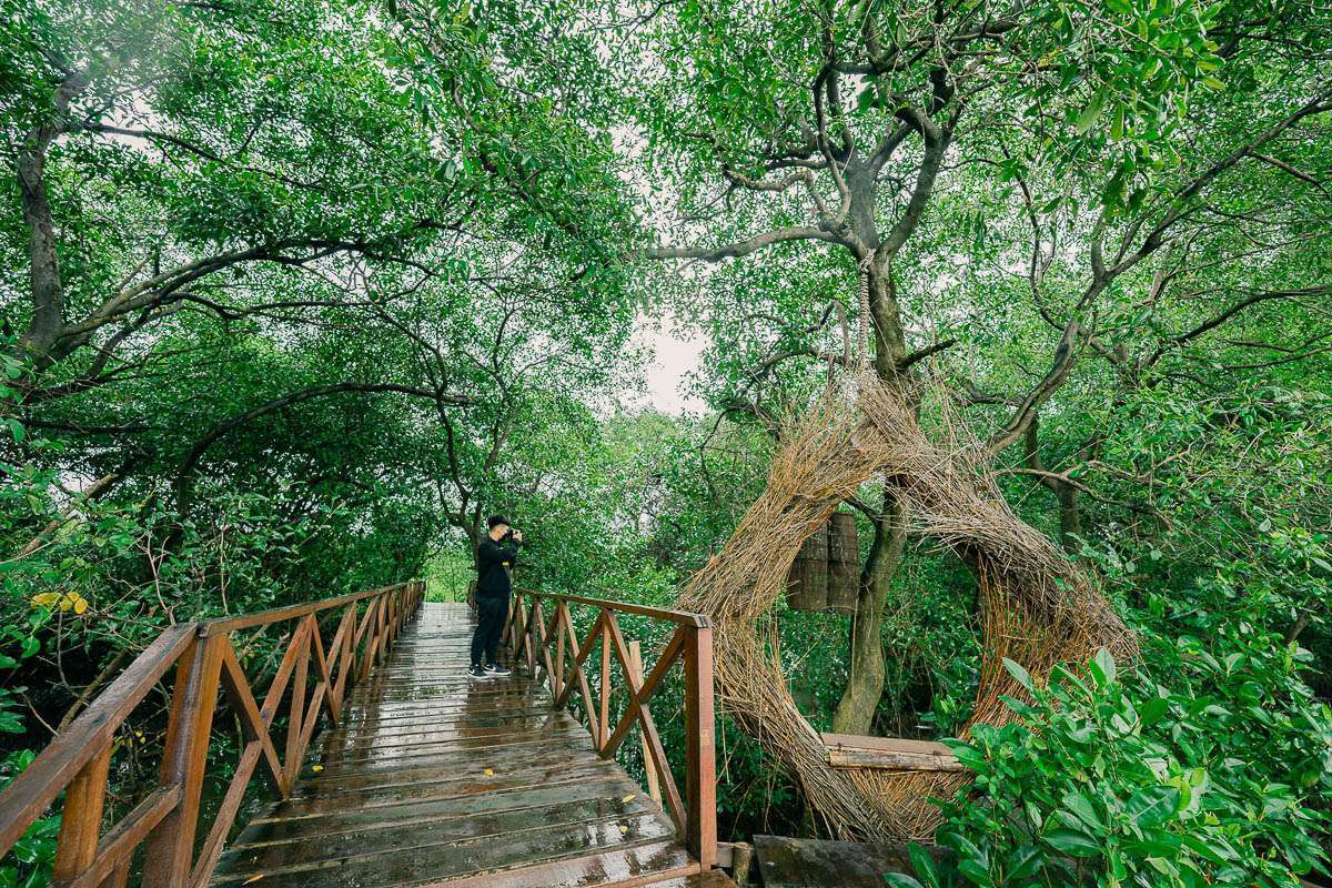 Kebun Raya Mangrove Surabaya