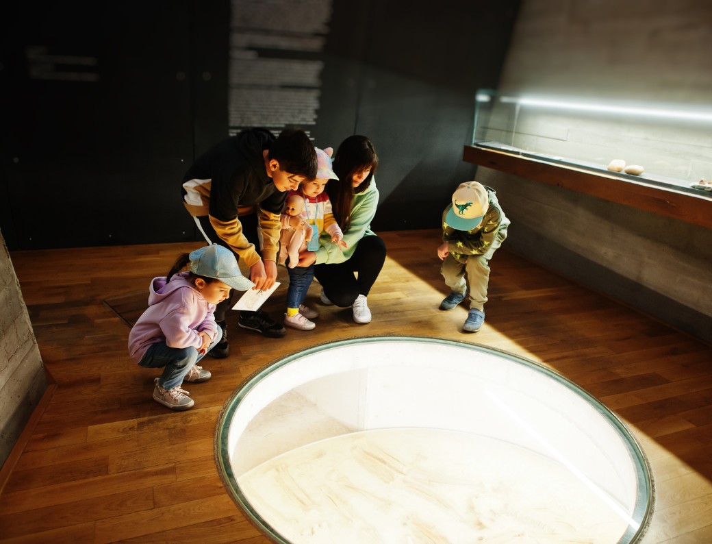 the educational value of a museum visit