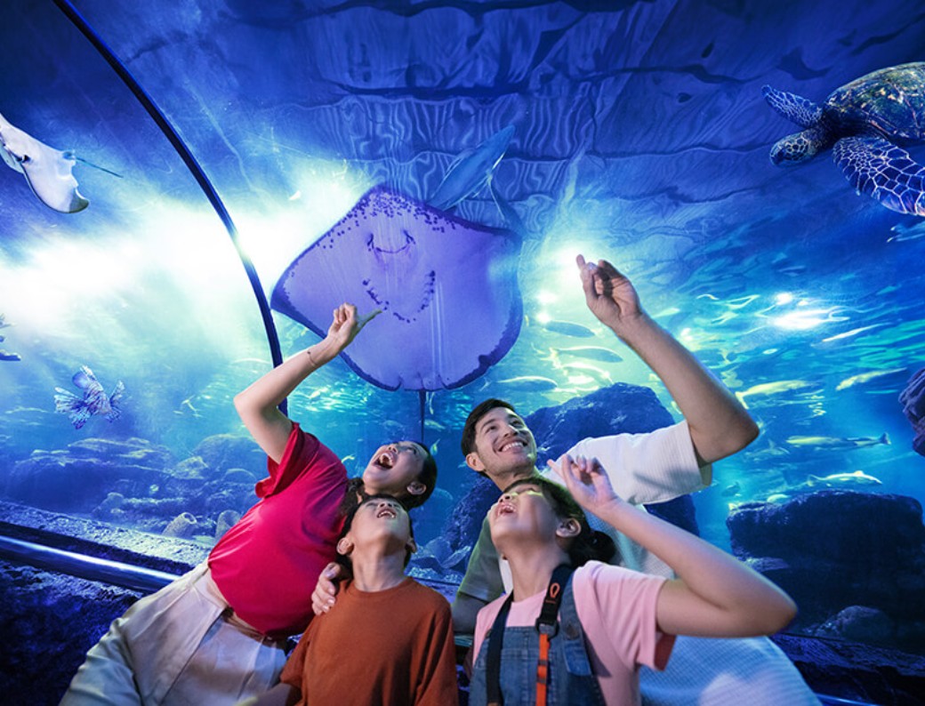 an aquarium visit during the school holidays