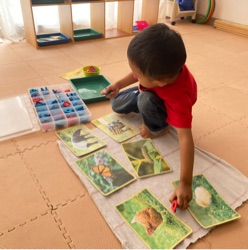 Majiku kids, photo 3