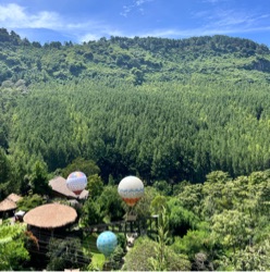 The Lodge Maribaya, photo 1