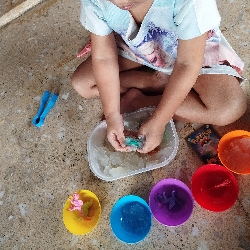Skill Harvest, photo 2