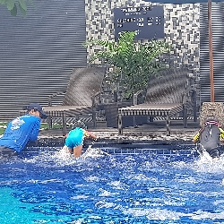 GoSplash, photo 1