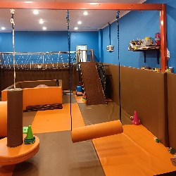 Klinik Tumbuh Kembang Anak Superkidz Cengkareng, photo 4