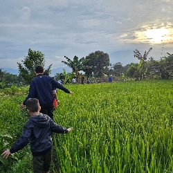 SAV VILLA BOGOR, photo 3