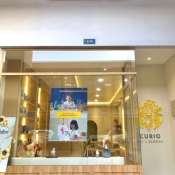Curio Studio, photo 1