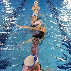 Bluestar Aquatics, photo 1