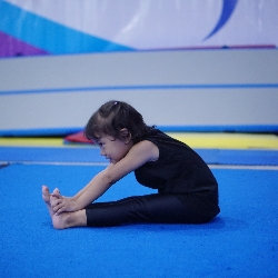 YOUNG GYMNASTIC, photo 1