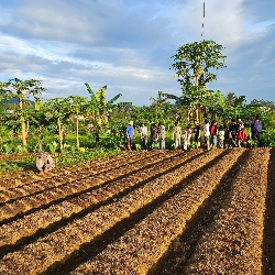 SAV VILLA BOGOR, photo 2