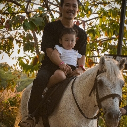 Diponegoro Stable, photo 4