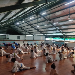 DRAGON TAEKWONDO CLUB, photo 1