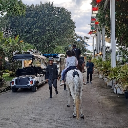 Diponegoro Stable, photo 3