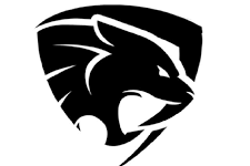 Panther Martial Art, photo 1
