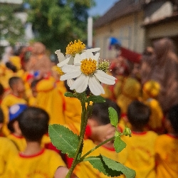 smartkids.id, photo 1