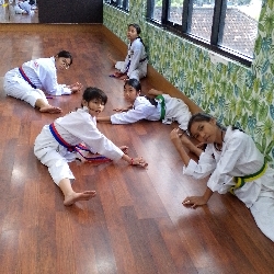 Popon Taekwondo, photo 1