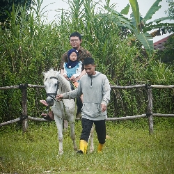Diponegoro Stable, photo 5