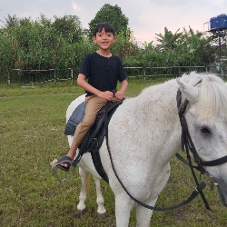 Diponegoro Stable, photo 2